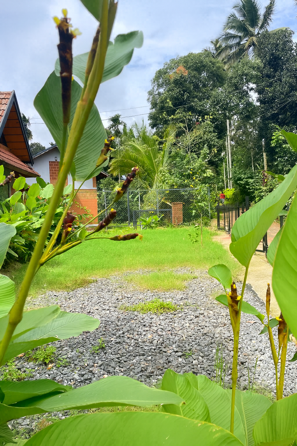 Senthamarai Outdoor16