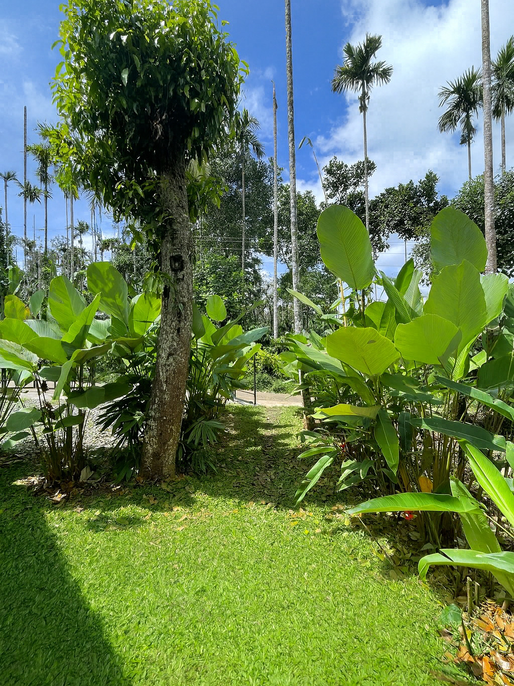 Senthamarai Outdoor27