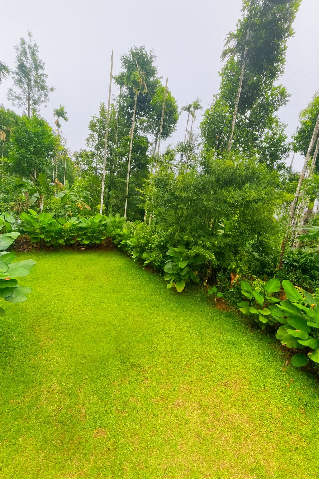 Senthamarai Outdoor6